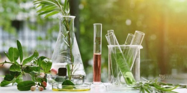8 Cara Mudah Membuat Produk Skincare Sendiri